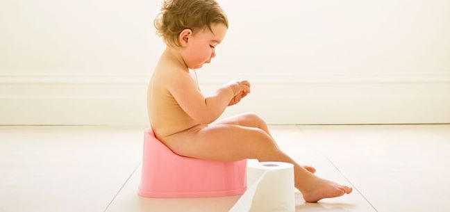 The 3 Day Potty Training Method